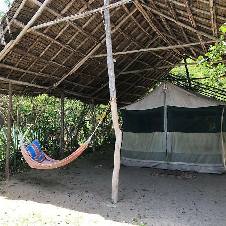 Peponi Beach Resort Pangani 外观 照片