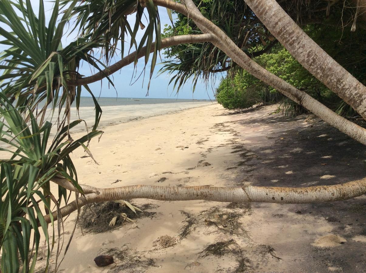 Peponi Beach Resort Pangani 外观 照片