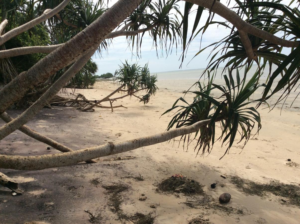 Peponi Beach Resort Pangani 外观 照片