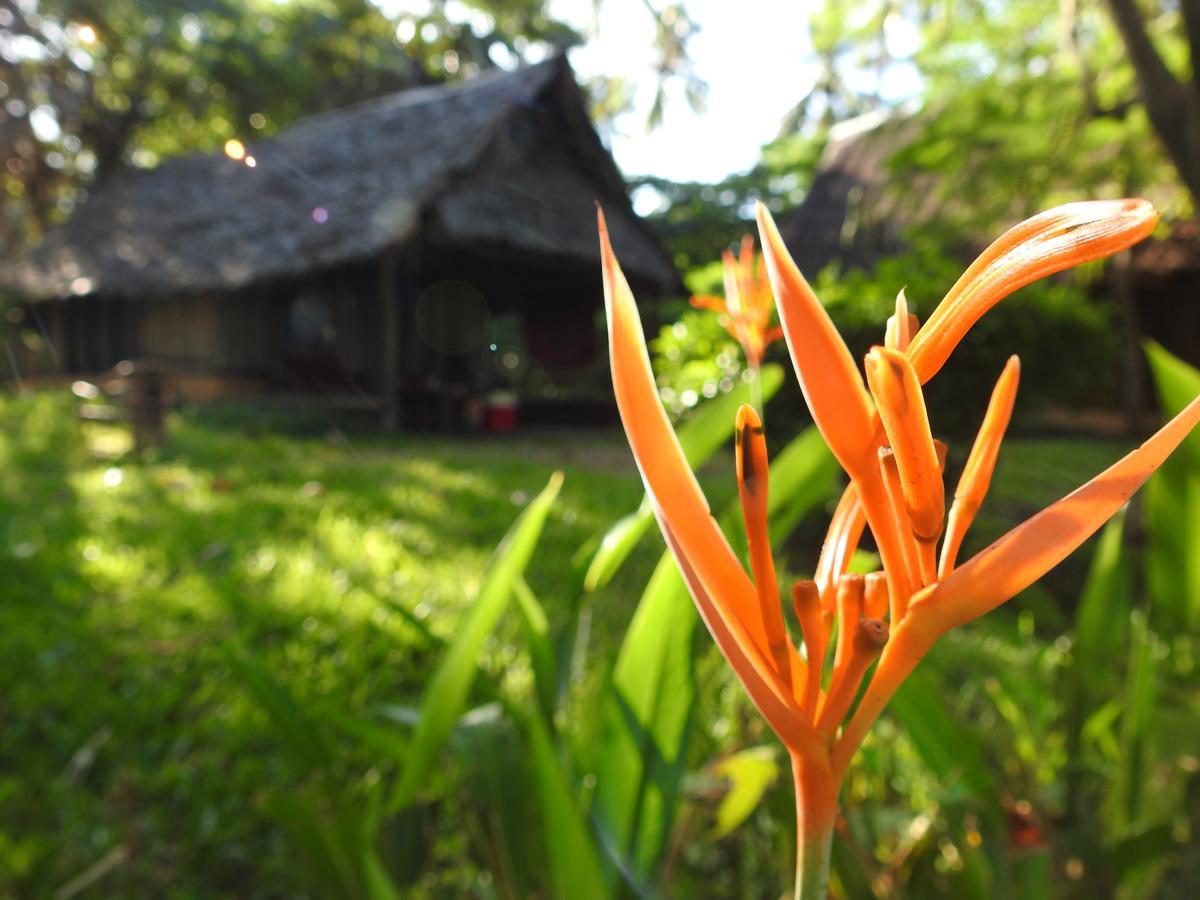 Peponi Beach Resort Pangani 外观 照片